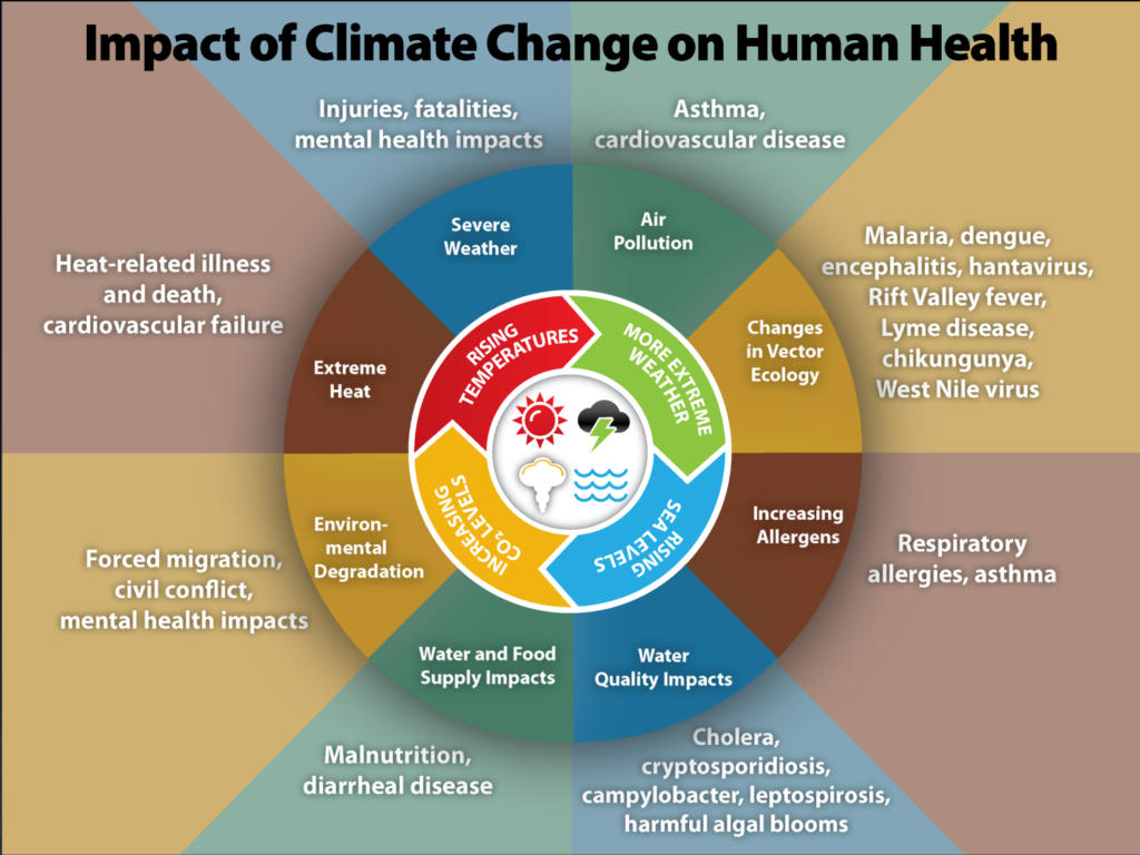 Experts warn of serious health impacts from climate change for pregnant women, children, and older people. 1 41390 2019 654 Fig1 HTML