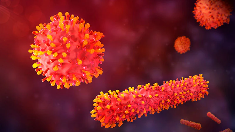 RSV Infections Take Toll on Adults 1