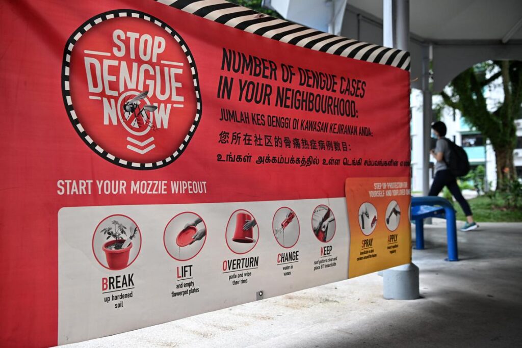 Dengue Cases in Singapore Surge by 36% in 2024, Exceeding 13,600 Reports. 1 10115c572c3c3b1271ad91bbde41c0a1c8ce14bede5c3ef75a831d3926f5dcfa