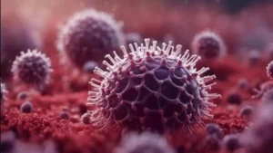 The Chandipura virus is mainly transmitted by vect 1724898468411 1736044493564
