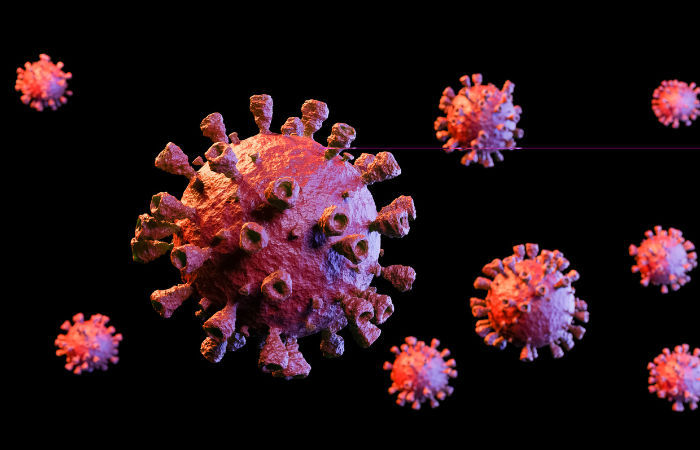 Human Metapneumovirus (HMPV) Hits Gujarat: Infant Stable 1 content image 37d2b6e2 cc66 4ee5 b7f0 a2c38638b032