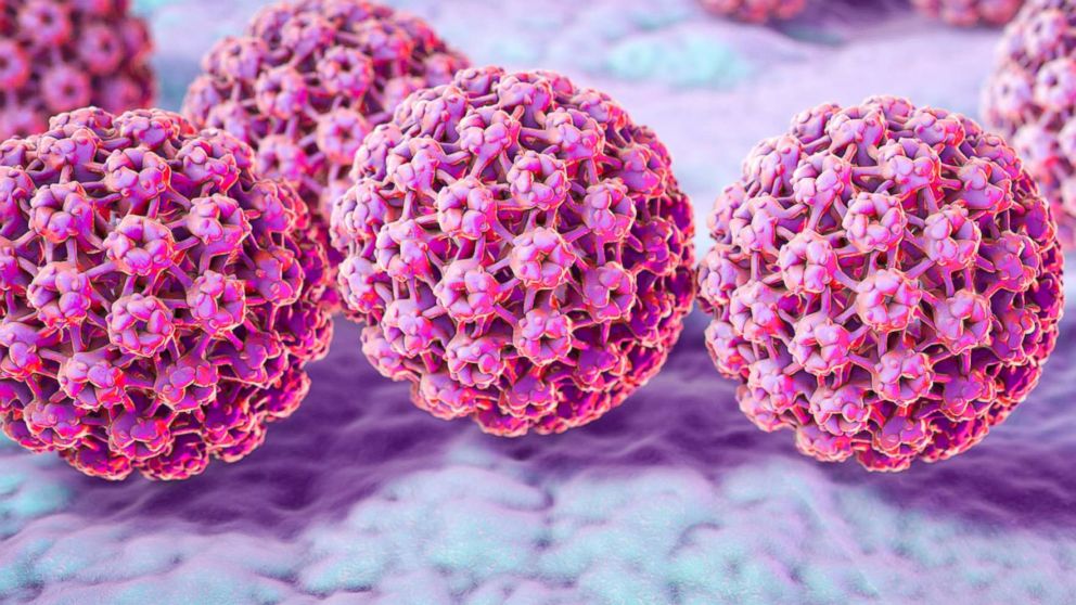 HMPV Cases Confirmed in Bengaluru: Key Details and Health Implications 1 hpv gty 01 jpo