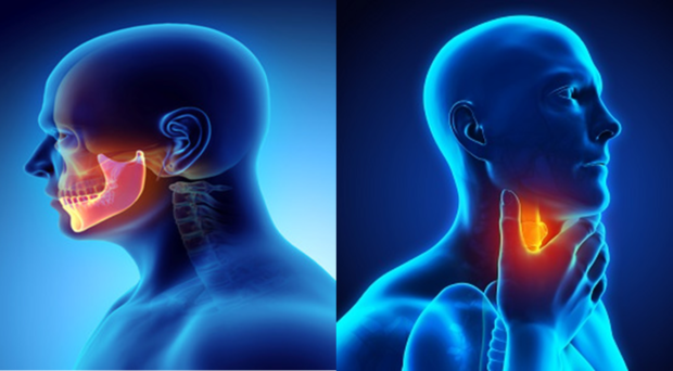 New study reveals that more than half of the oral cancer cases in India are due to flavored smokeless tobacco. 1 picture1 620x342 1