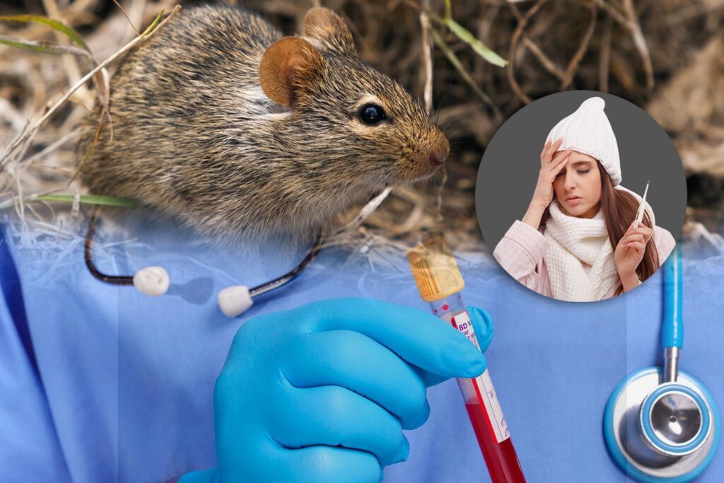 UK Health Officials Investigate Potential Lassa Fever Cases After Visit of Infected Traveler 1 Lassa