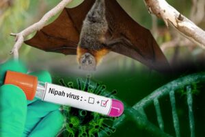 NIPAH