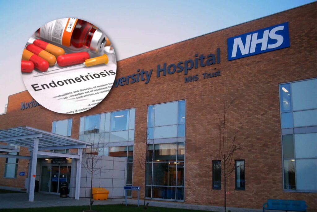 Approved for NHS Use New Daily Pill for Endometriosis Provides Hope for Patients 1 endomet