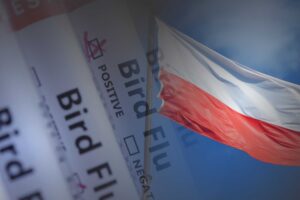 European Commission plans emergency response to bird flu outbreaks in Poland