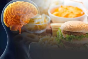 Study links high-fat, high-sugar diets to poor brain function