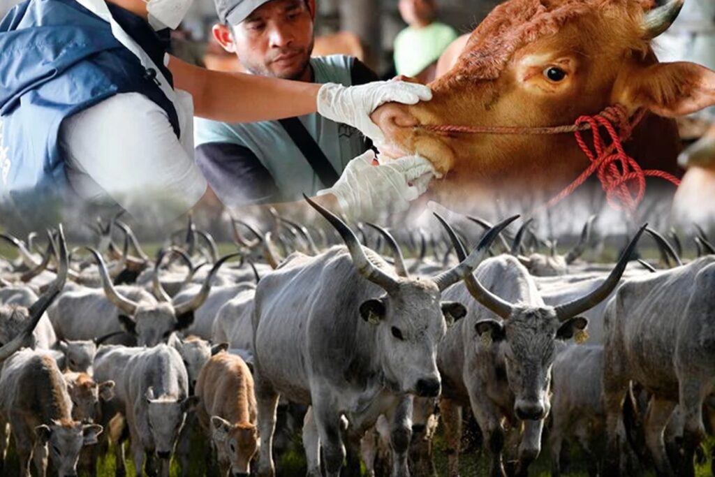 Hungary suspects 'biological attack' behind foot-and-mouth disease outbreak 1 Hungary