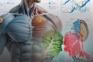 Meat or plants? Study says both boost muscle gain