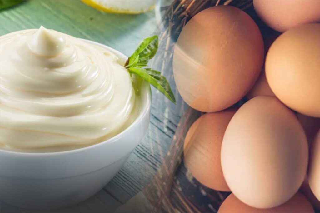 Tamil Nadu bans raw egg mayonnaise over safety concerns 1 Tamil Nadu bans raw egg mayonnaise over safety concerns