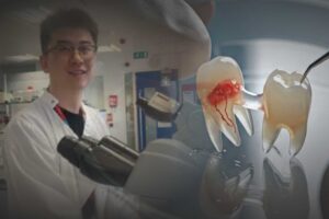 London scientists grow human teeth in a lab
