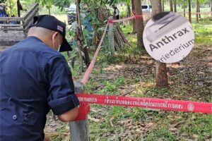 Thailand issues alert after first anthrax death in decades