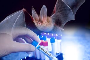 COVID-19 spread likely accelerated by wildlife trade, not lab leak: study