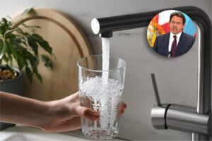 Florida becomes second state in US to ban fluoride in public drinking water