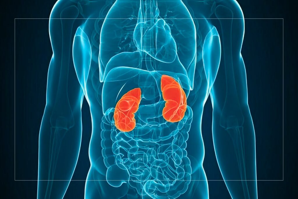 Blood type mismatch drives most kidney exchange transplants in India: Study 1 Blood type mismatch drives most kidney exchange transplants in India: Study