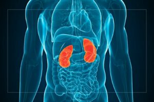 Blood type mismatch drives most kidney exchange transplants in India: Study