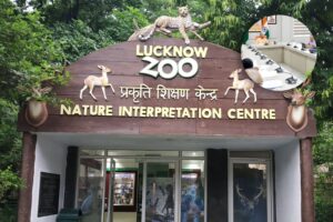 Bird flu: UP shuts zoos, lion safari for a week after tigress death