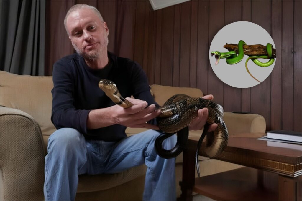 He survived 200 snake bites—now his blood may save thousands from dying 1 He survived 200 snake bites—now his blood may save thousands from dying