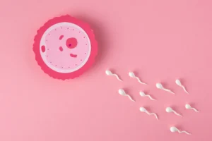 Sperm vs. Semen: What’s the difference?