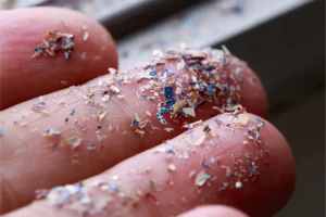 Study detects microplastics in reproductive fluids, raising fertility questions