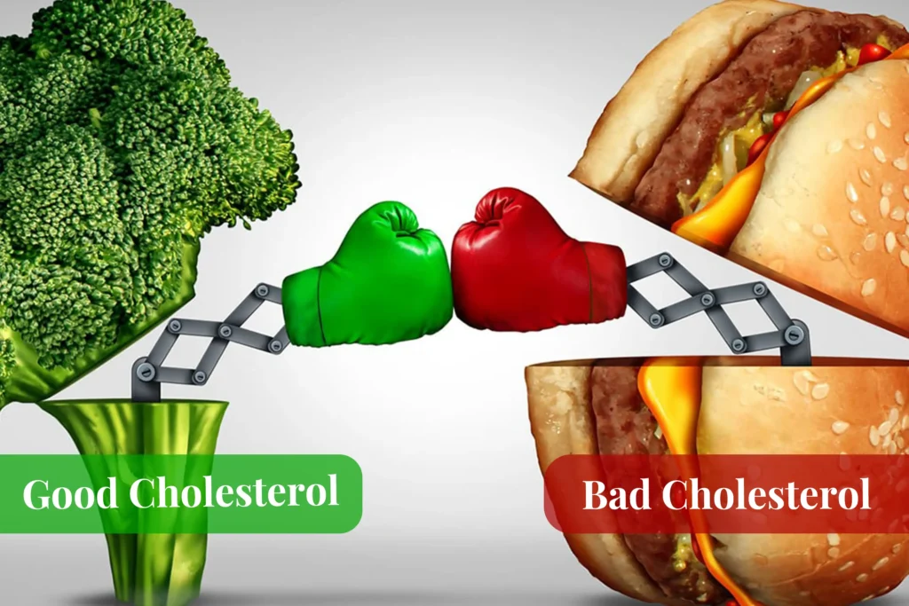 The cholesterol cheat sheet: All that you need to know 2 The cholesterol cheat sheet: All that you need to know