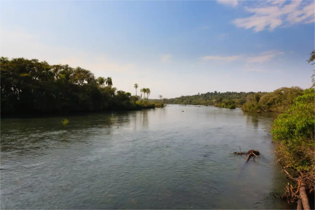 India dismisses study claiming widespread antibiotic contamination in rivers 1 India dismisses study claiming widespread antibiotic contamination in rivers