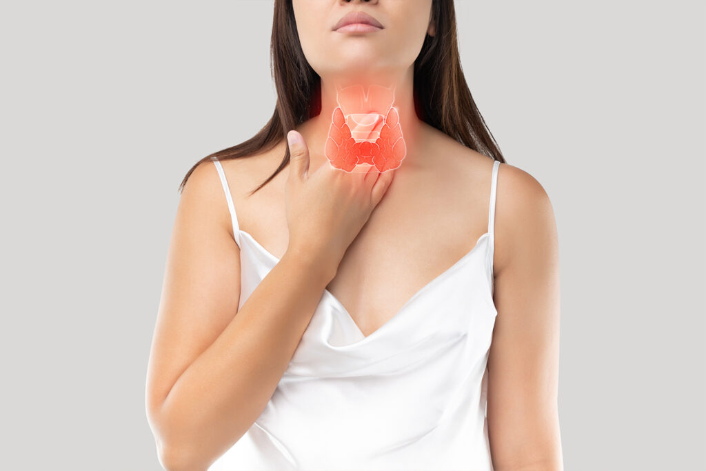 What does the thyroid gland do, and why is it vital? 2 What does the thyroid gland do, and why is it vital?