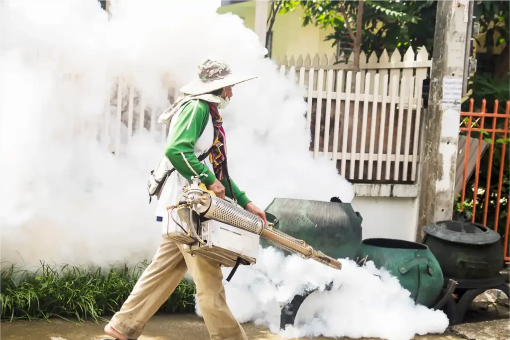 Dengue cases near 50,000 in India; Centre warns of post-monsoon spike 1 Dengue cases near 50,000 in India; Centre warns of post-monsoon spike