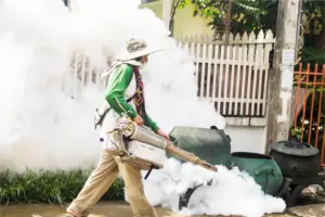 Dengue cases near 50,000 in India; Centre warns of post-monsoon spike