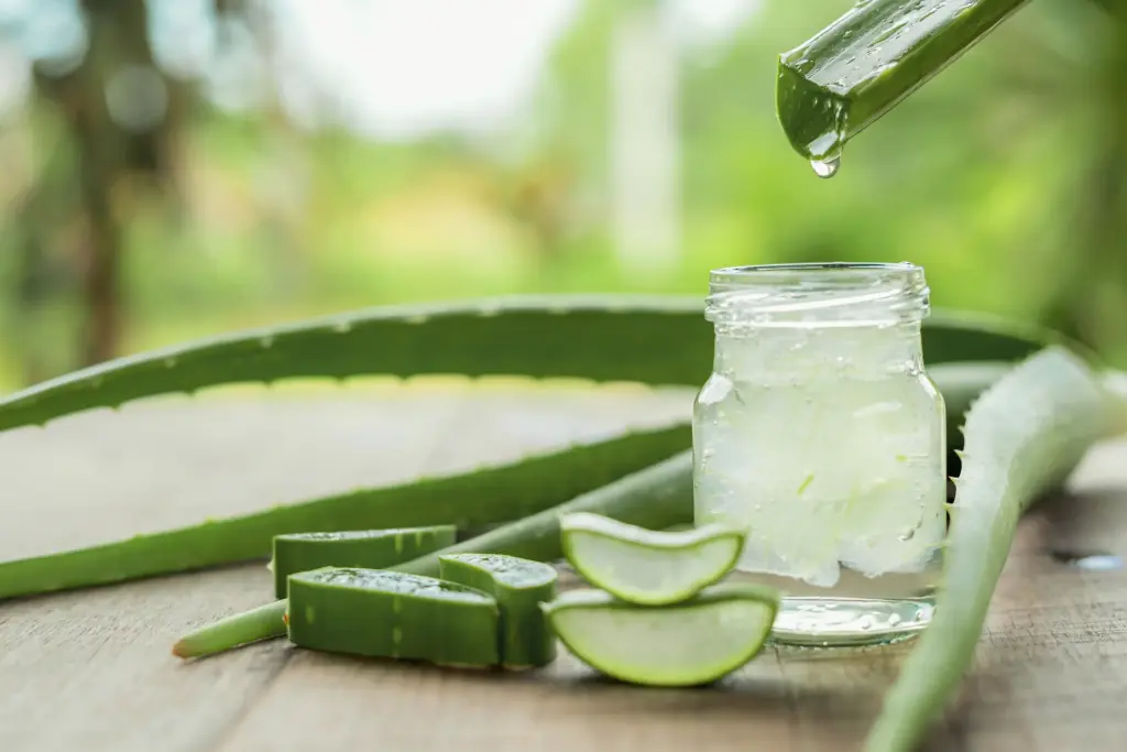 Should you use aloe vera gel daily? What experts say