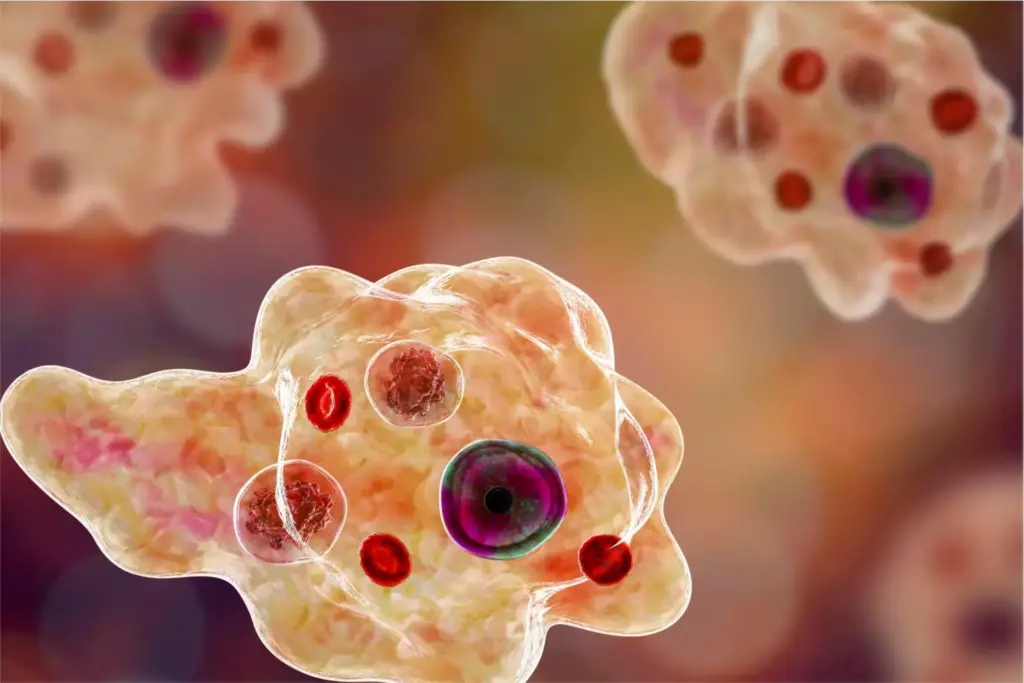 Kerala on alert as ‘brain-eating amoeba’ cases rise; 19 deaths this year