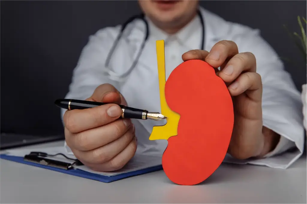Kidney cancer cases may double by 2050; obesity, diabetes, hypertension drive risk: Study 1 Kidney cancer cases may double by 2050; obesity, diabetes, hypertension drive risk: Study