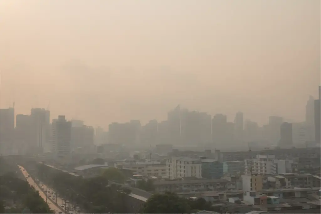 PM2.5 caused 17 lakh deaths in India in 2022: Lancet 1 PM2.5 caused 17 lakh deaths in India in 2022: Lancet