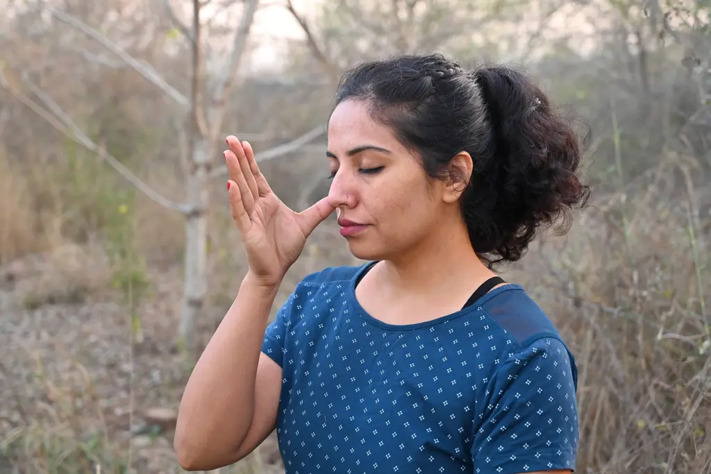 Why beginners start pranayama with Box Breathing, Anulom Vilom and Bhramari 2 Why beginners start pranayama with Box Breathing, Anulom Vilom and Bhramari