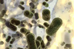 ICMR labs flag uptick in infectious pathogens; experts call it an early warning