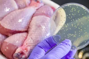 Retail meat linked to 1 in 5 UTI strains, study finds