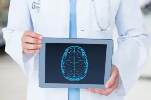 Researchers build first draft map of the developing human brain