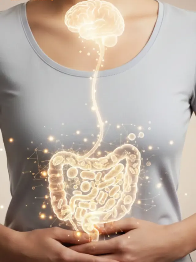 The gut-brain connection you can’t ignore