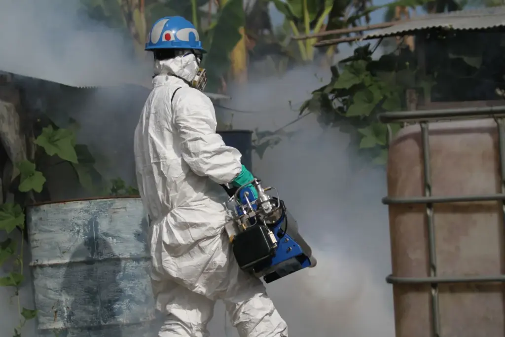 Cuba reports 33 deaths amid widespread dengue and chikungunya epidemic