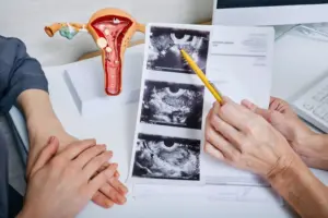 Scientists develop artificial womb lining to study early pregnancy