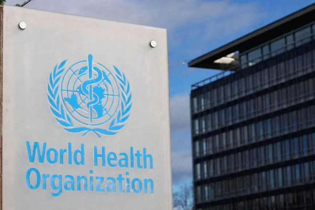 WHO conference in New Delhi pushes AI-powered scrutiny of traditional medicine