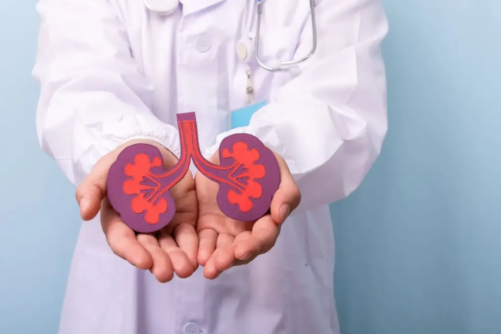 What’s the difference between acute renal failure and chronic kidney disease