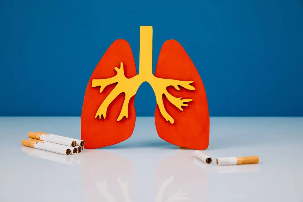 How to keep your lungs healthy after 40 1 How to keep your lungs healthy after 40