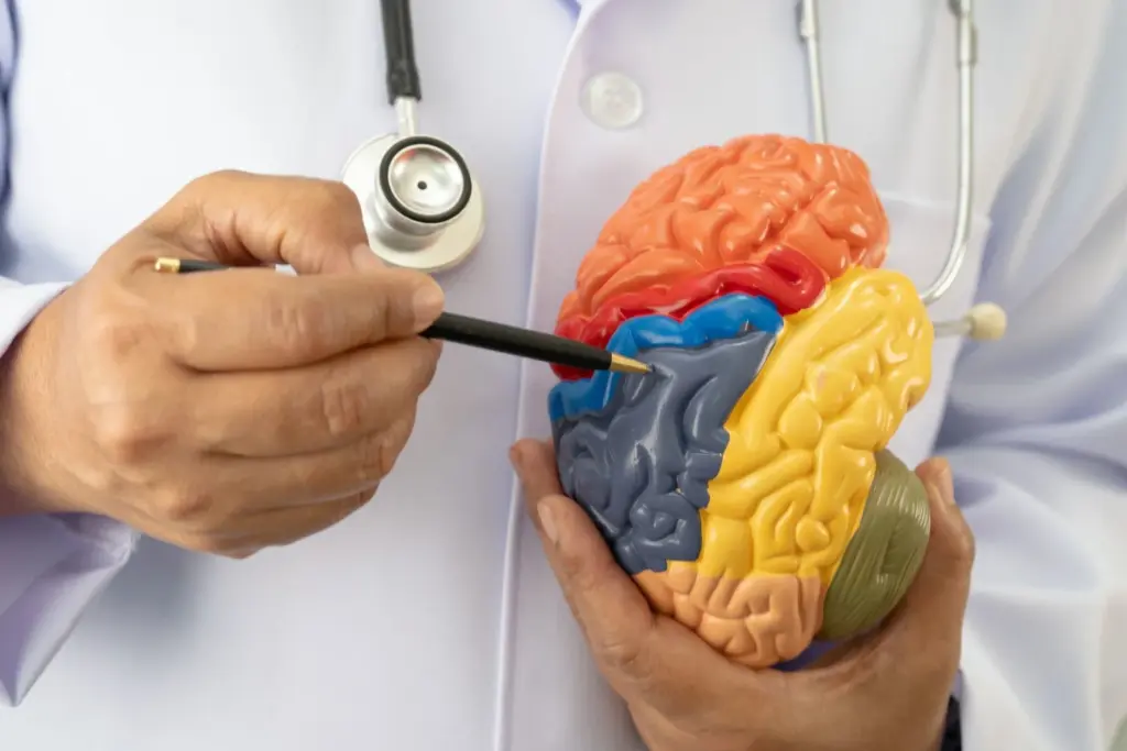 Study links sugar use to brain tumour growth