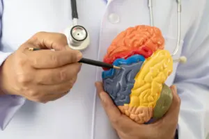 Study links sugar use to brain tumour growth