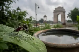 Dengue cases surge in Delhi: Symptoms you shouldn’t ignore